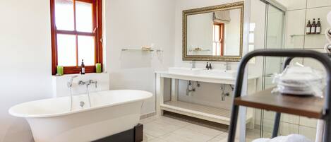 Une salle de bain avec une baignoire sur pieds, un grand miroir et une douche à parois de verre.