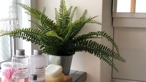 A bathroom vanity with a potted fern, bottles of skincare products, and a sponge. - Osaka guesthouse RELASTAY (Osaka)