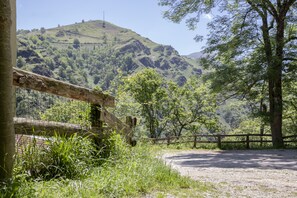 A rural landscape with a dirt path, wooden fence, and lush green hills in the background.