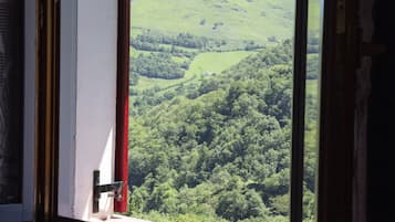 Vista desde la habitación