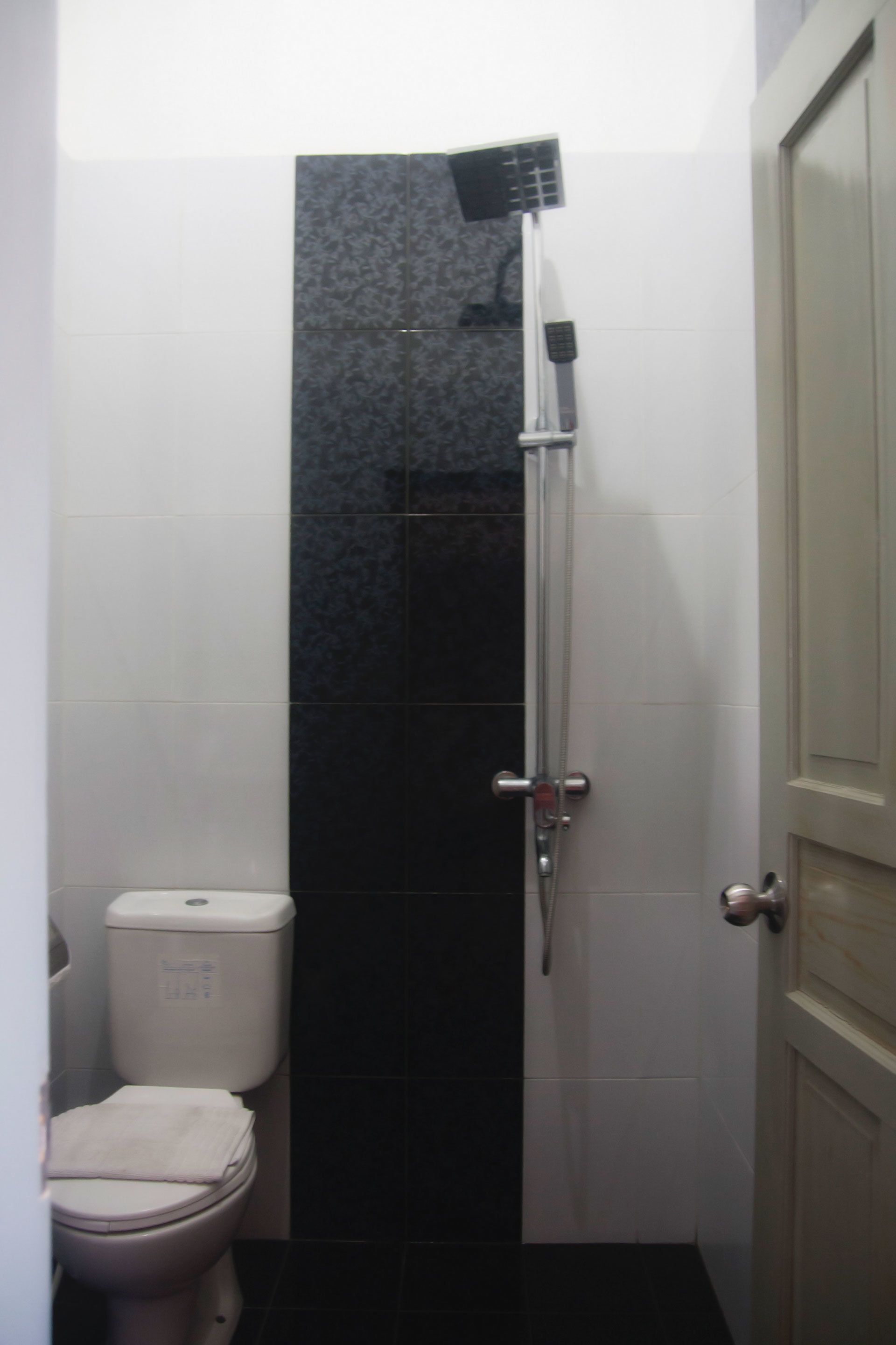 A bathroom with a toilet, a shower with a handheld showerhead, and a door.