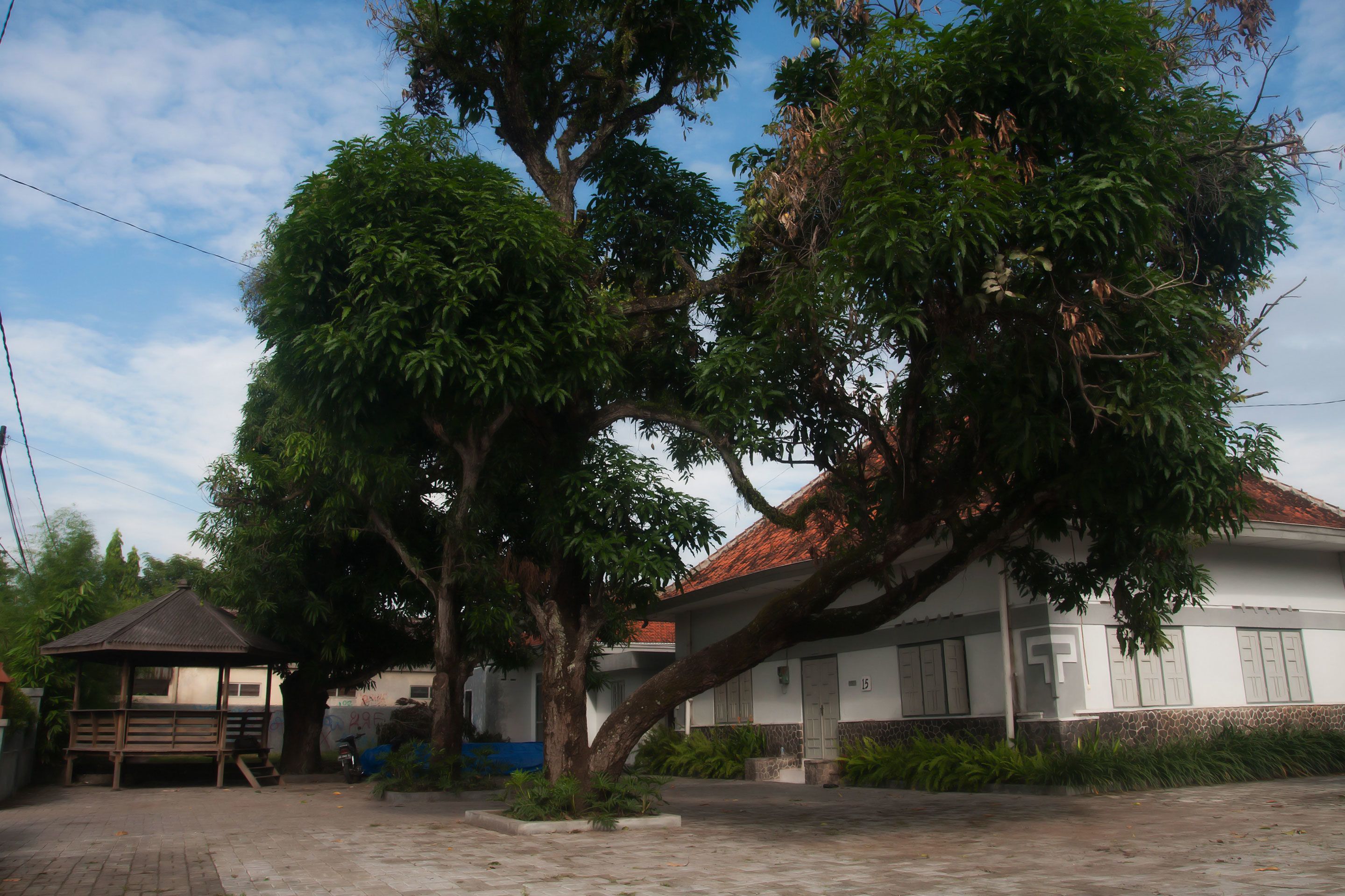 Ein Gebäude mit einem Ziegeldach, einer überdachten Sitzgelegenheit und einem großen Baum davor.