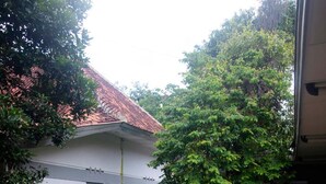 A courtyard with a paved walkway, a grassy area, and a building with a tiled roof.
