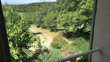 Vista dalla finestra su un paesaggio rurale con un sentiero sterrato, vegetazione lussureggiante e colline lontane.