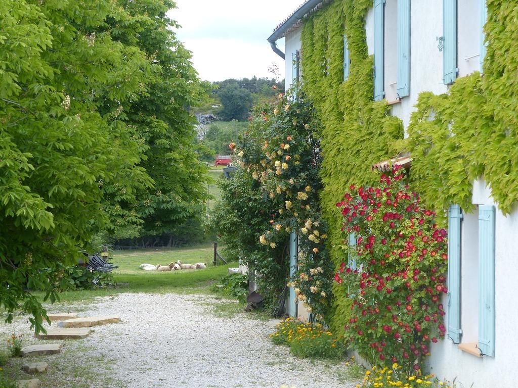 Eksteriør