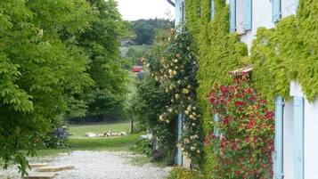 A house with a gravel path leading to a grassy area.