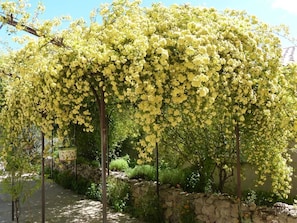 A garden with a pergola covered in yellow flowers, a stone wall, and a pathway. - La Ferme du Petit Ségriès (Moustiers-Sainte-Marie)