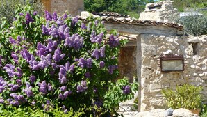 A stone building with a tiled roof, surrounded by lush greenery and purple flowers. - La Ferme du Petit Ségriès (Moustiers-Sainte-Marie)