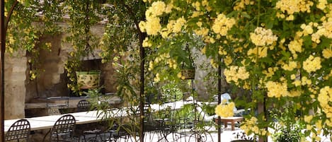 Dinner served, alfresco dining