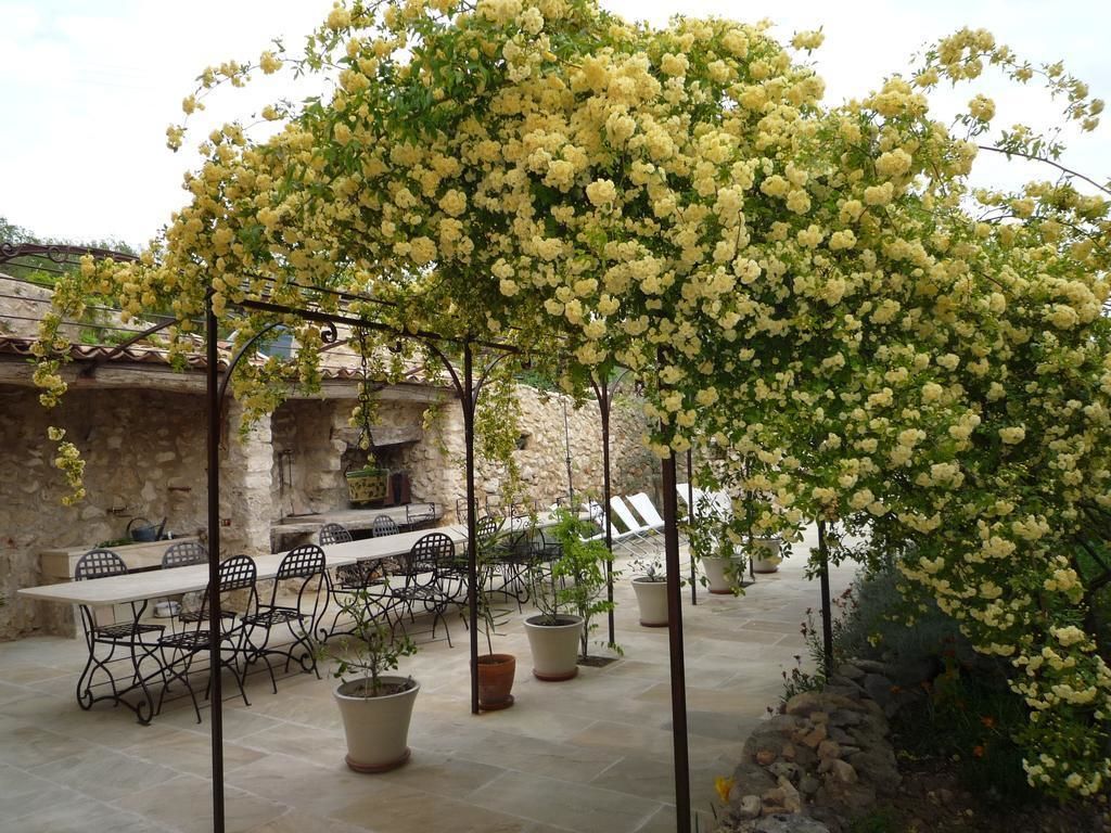 Une terrasse extérieure avec une table et des chaises en pierre, entourée de plantes en pot et d’une pergola ornée de fleurs jaunes.