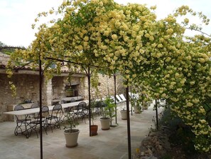 Terras