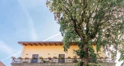 Beata Solitudo B&B