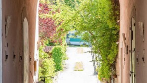 An arched pathway leading to a building with a bicycle parked at the entrance. - Beata Solitudo B&B (Agerola)