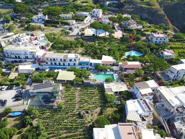 An aerial view of a residential area with houses, a swimming pool, and a vineyard.