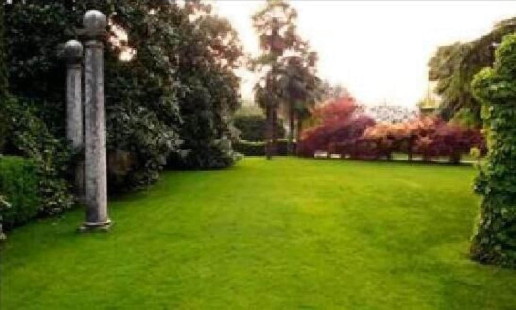 A well-manicured garden with a central lawn, surrounded by dense shrubbery and trees.