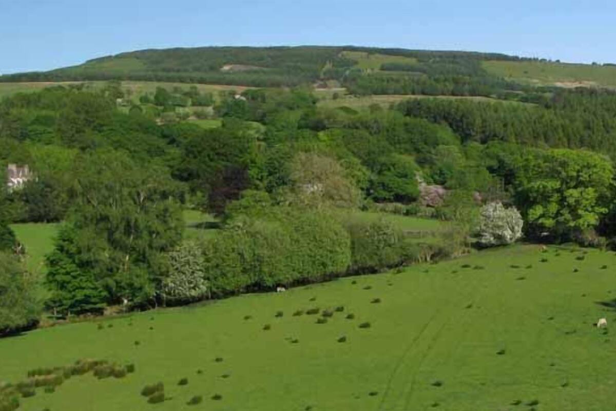 Een landelijk landschap met glooiende heuvels, dichte bossen en open velden.