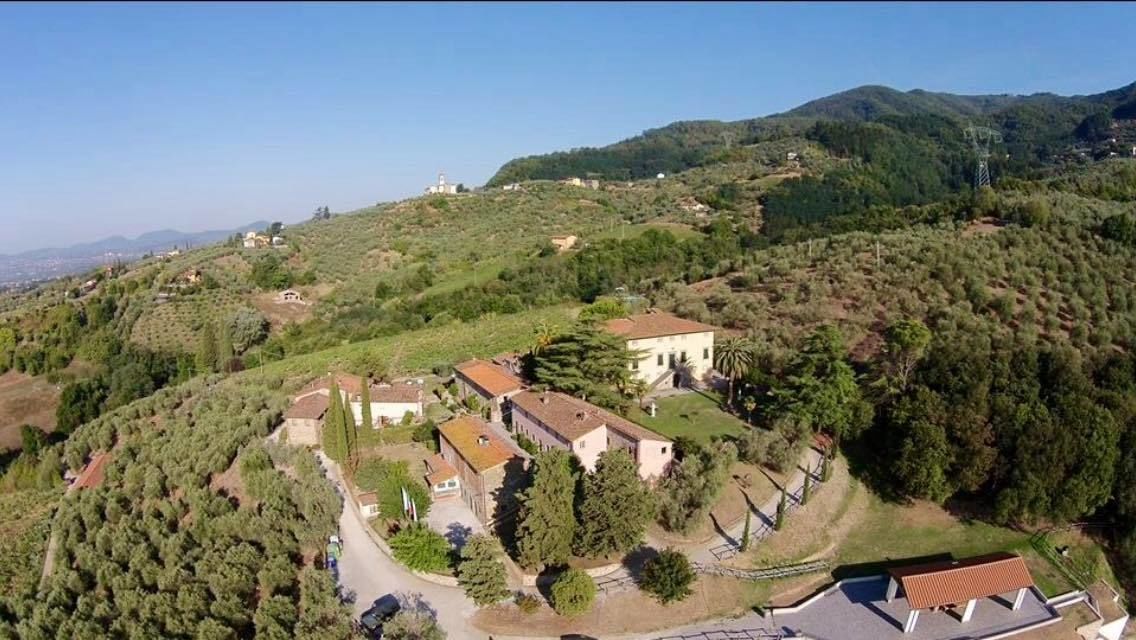 Un pueblo rural con edificios tradicionales rodeado de olivares y colinas.