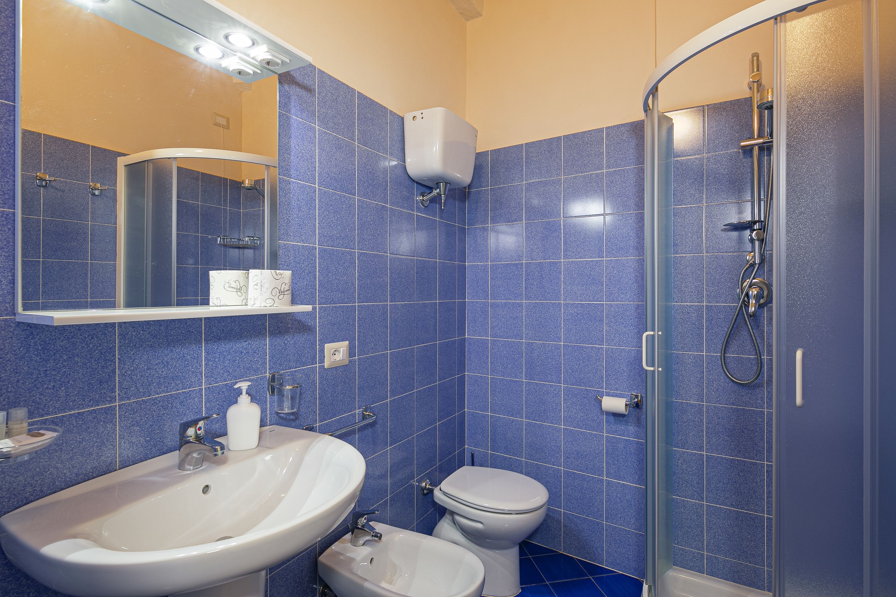 Un baño con lavamanos, inodoro y ducha.