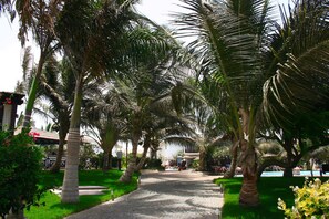 Khuôn viên nơi lưu trú