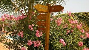 Property grounds - AJP Holidays - Tortuga Beach Resort 487 (Sal)