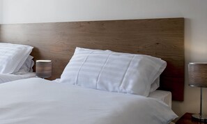 华丽双床房 | 办公桌、熨斗/熨板、免费 WiFi、床单