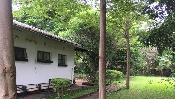 A white building with a tiled roof, surrounded by lush greenery and trees. - Divine Guest House (Livingstone)