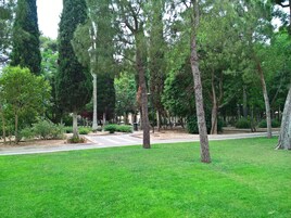 Vista desde la propiedad