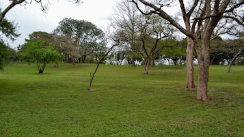 Un parc verdoyant, avec des arbres et un ciel dégagé.