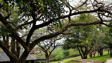 Jardín
