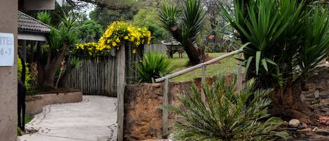 A pathway leading to a house with a wooden fence, a stone wall, and a large potted plant.