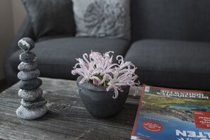 Una pila de piedras, una planta en maceta y una revista sobre una superficie de madera.