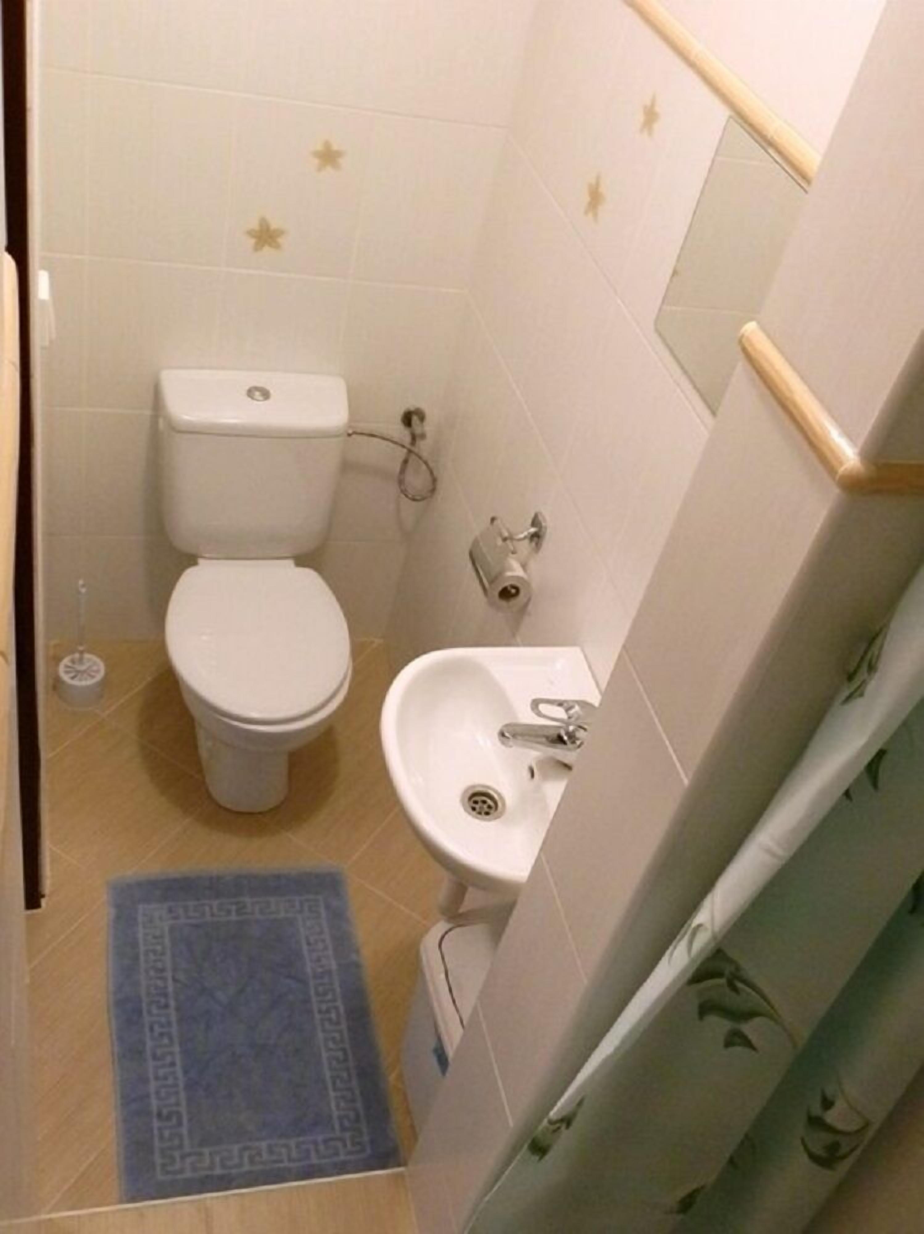A small bathroom with a toilet, sink, and a blue patterned rug.
