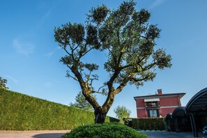 Front of property - La Casa Di Linda B&B (Mirano)