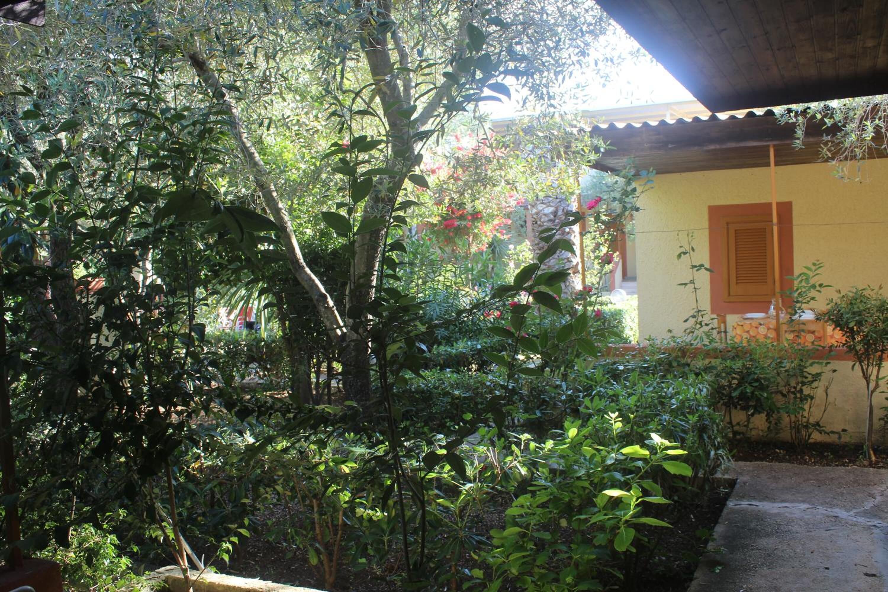 Ein Gartenbereich mit verschiedenen Pflanzen und Bäumen, ein Betonweg und ein Gebäude mit gelber Wand und Holztür.