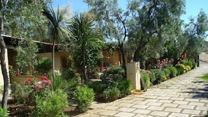 A paved pathway lined with various plants and shrubs, leading to a building with a yellow facade. - Residence Giardino (Vieste)