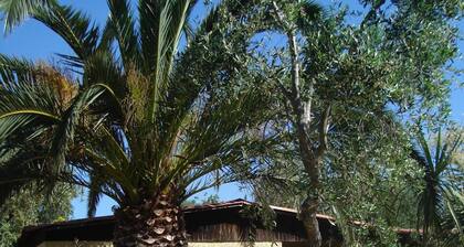 Residence Giardino