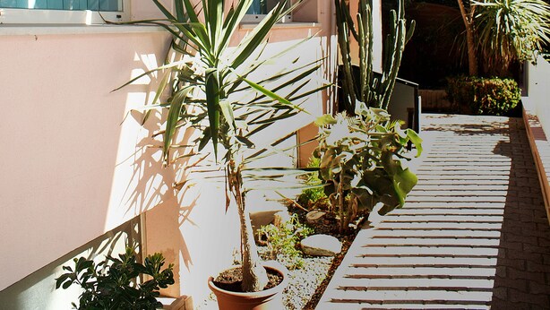 Un couloir extérieur abrité, agrémenté de plantes en pot, avec un ciel bleu dégagé.