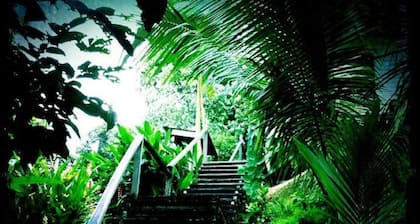 The Last Frontier Boutique Resort