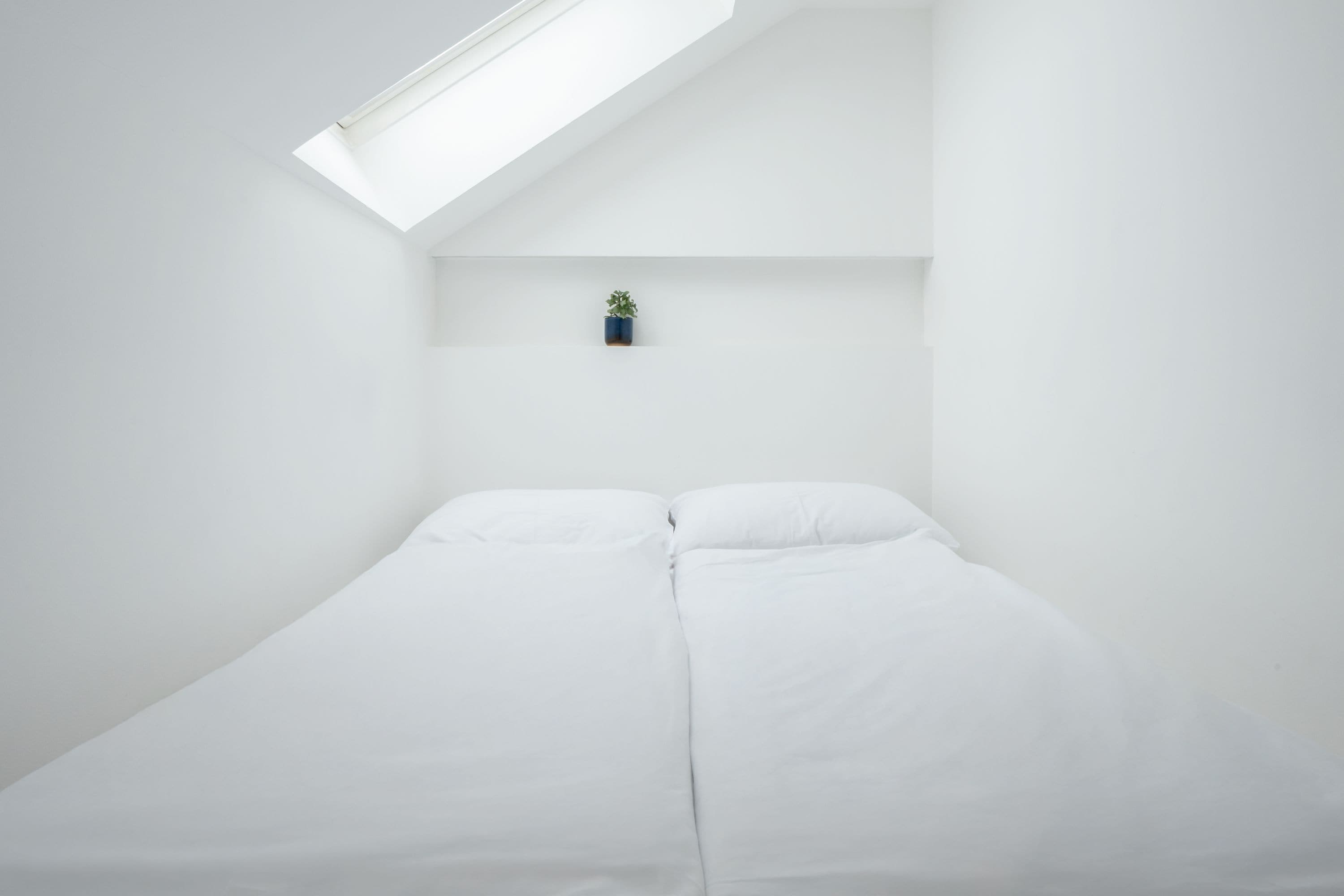 Una habitación minimalista con cama, tragaluz y una pequeña planta en un estante.