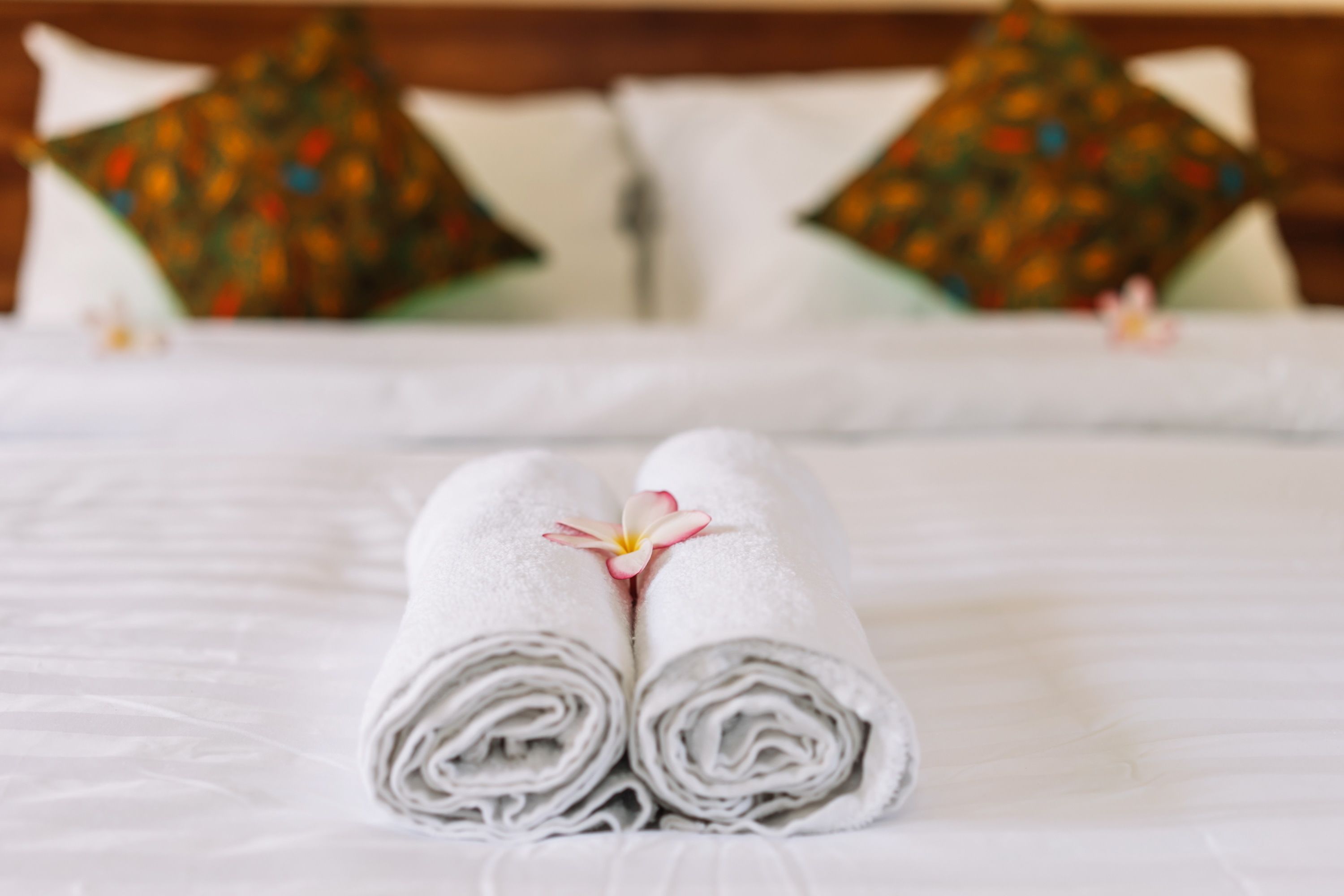 superior double room | room amenity