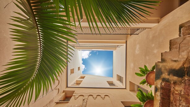 A corridor with a view of the sky through a window, palm leaves, and potted plants. -  Apartahotel Fil Suites (Palma de Mallorca)
