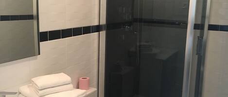 A modern bathroom with a white sink, a toilet, and a glass-enclosed shower stall.