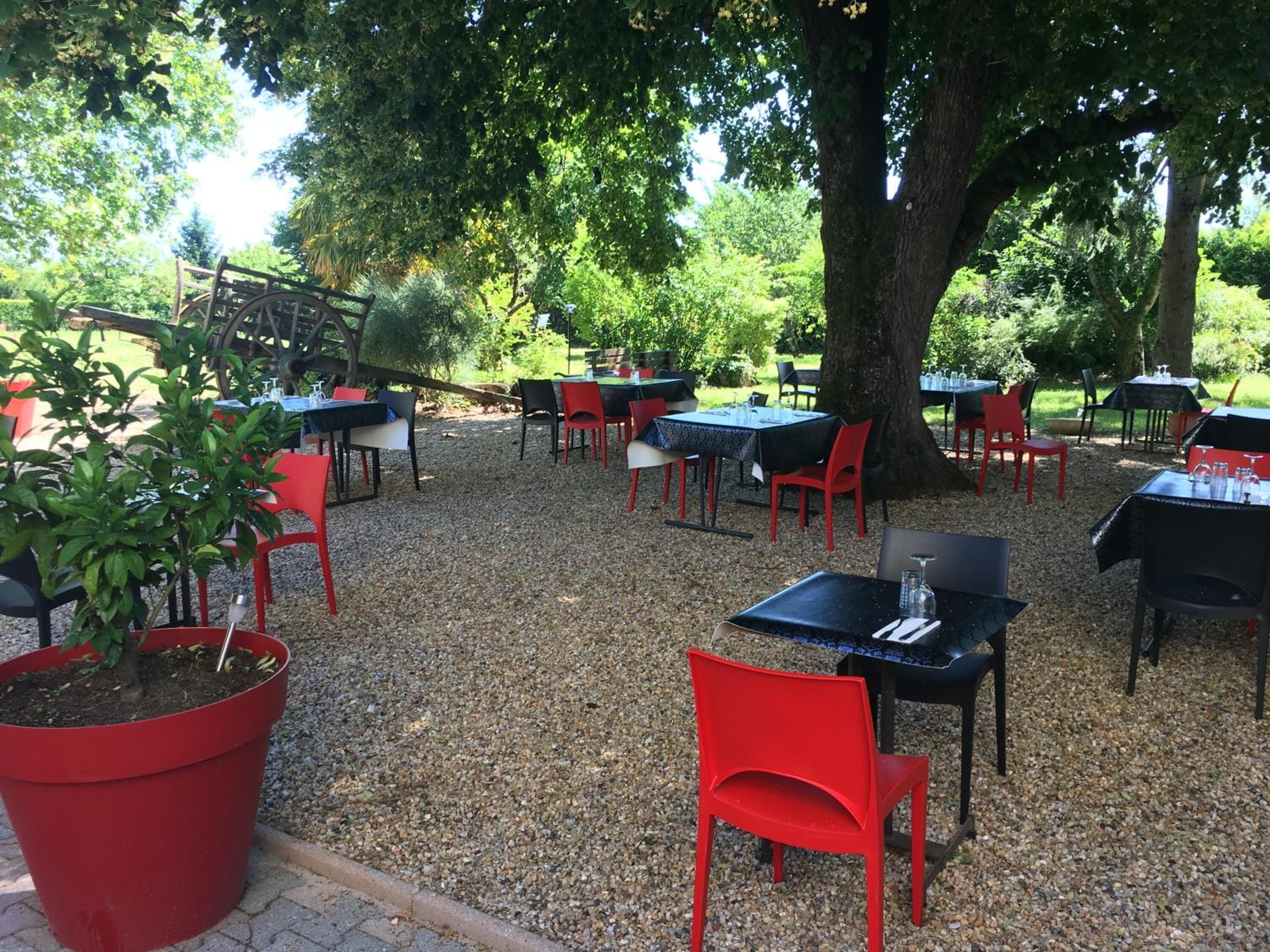 Un área de comedor al aire libre con mesas y sillas dispuestas sobre grava, rodeada de árboles.