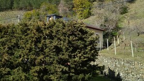 Uklassifisert bilde, 2 av 22, knapp