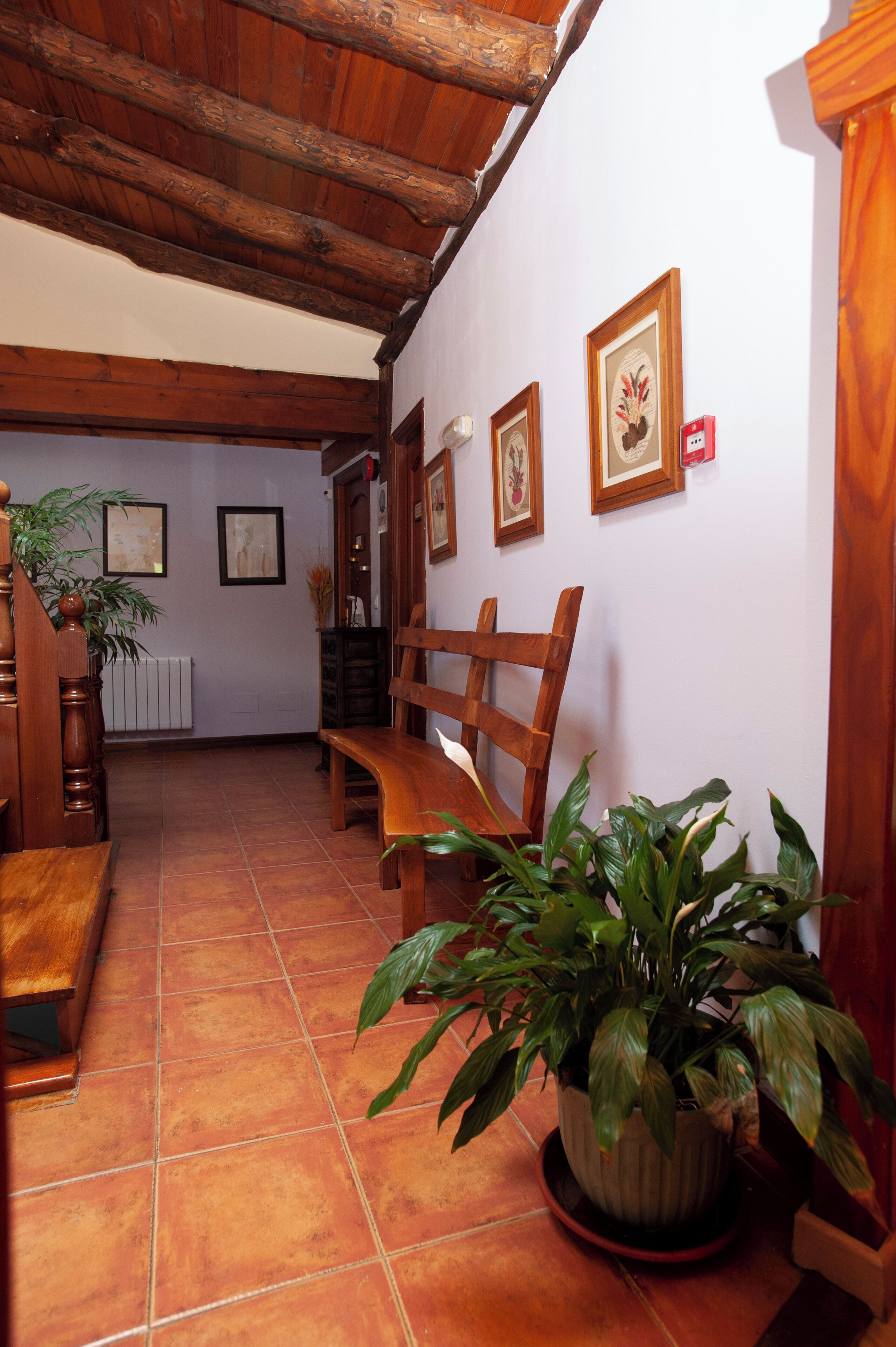 A wooden bench, a potted plant, and framed pictures on a wall in a room with a tiled floor and wooden ceiling beams.