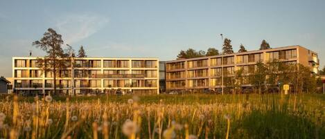 A modern building with multiple floors and balconies, surrounded by a grassy area with dandelions.