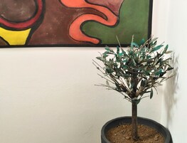 Ein Blumentopf mit grünen Blättern und einem braunen Stamm an einer weißen Wand.