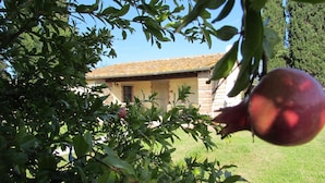 A house with a tiled roof and a garden with fruit trees. - Agriturismo Pretenzano (Volterra)