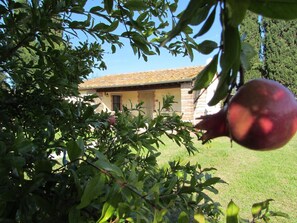 Exterior - Agriturismo Pretenzano (Volterra)