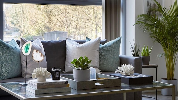 Un salon moderne avec une grande fenêtre, un canapé agrémenté de coussins décoratifs, une table basse et une plante en pot.